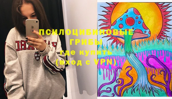 каннабис Ессентукская