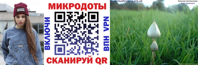 Псилоцибиновые грибы ЛСД  Купить закладки  Шилка 